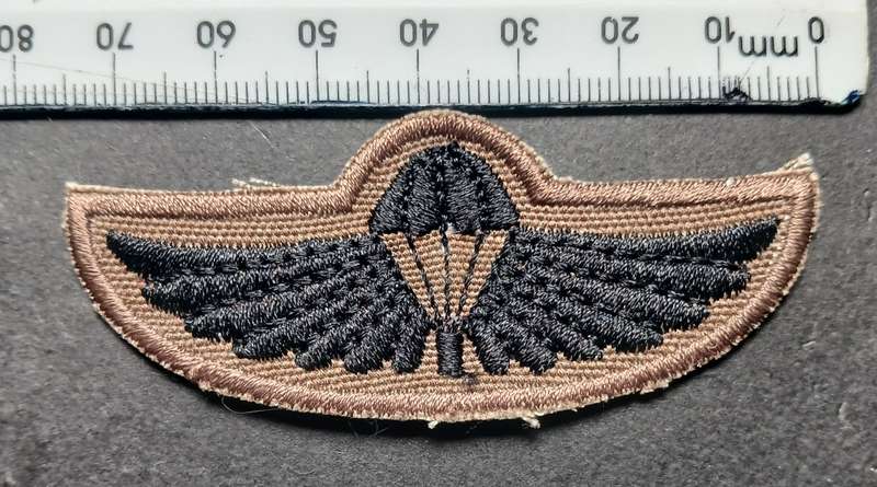 Air Supply Instructor Breas Badge                      F124