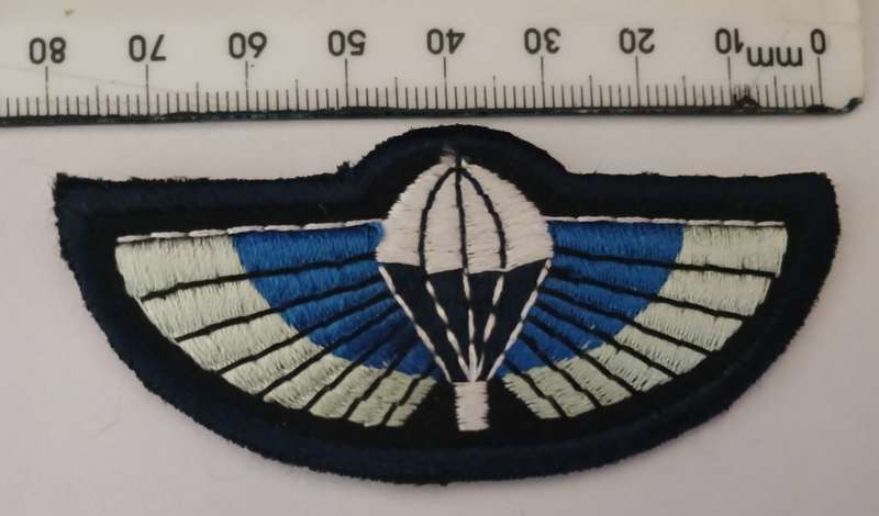 Great Britain SAS Wings Special Air Service                         F125