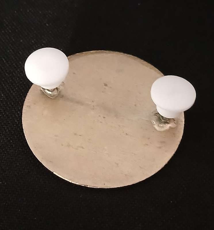PRETORIA DIVING UNIT   Breast Badge      ( Size: 38mm Diameter )           F151
