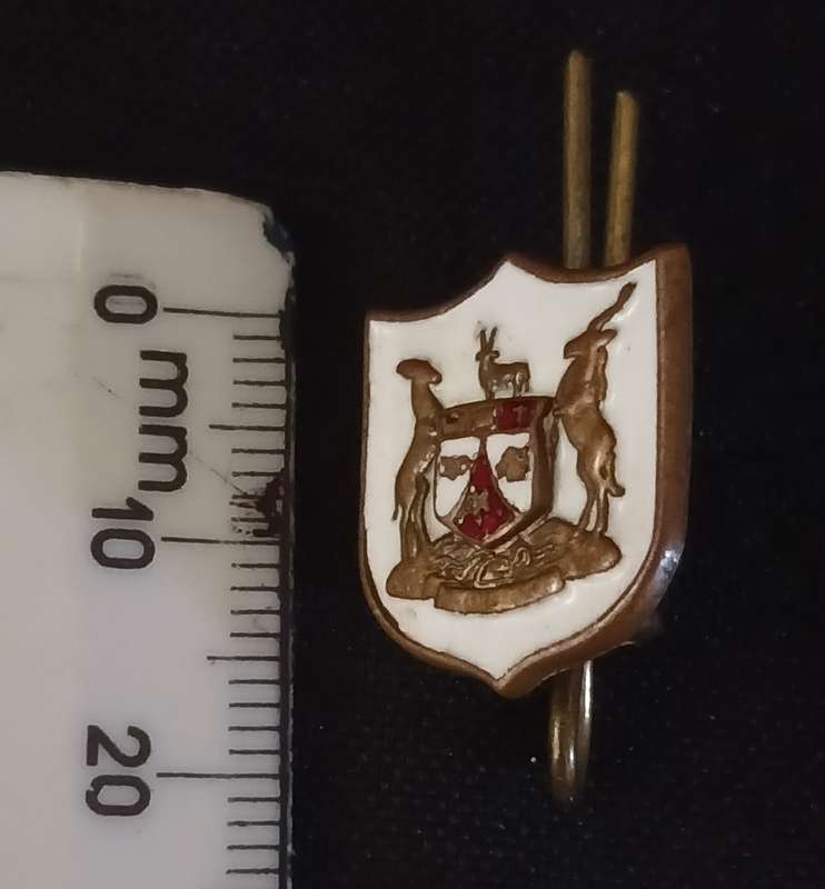 SWA Traffic Police Control cap badge (Police SWA)             F159
