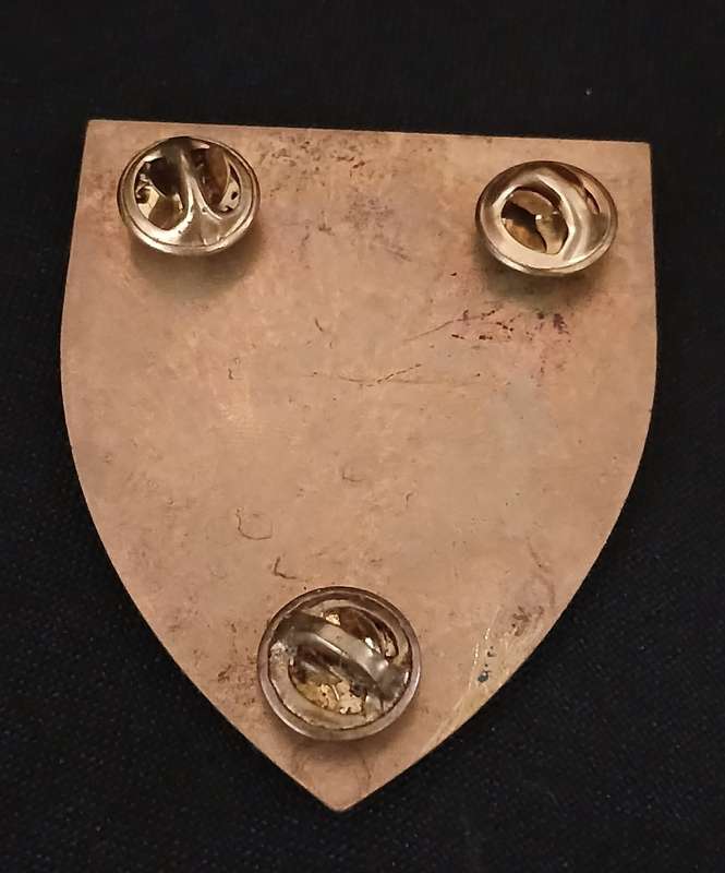 SADF SASOLBURG COMMANDO SHOULDER FLASH                D78