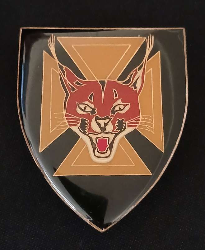 7 SAI BATTALION SHOULDER FLASH              D80