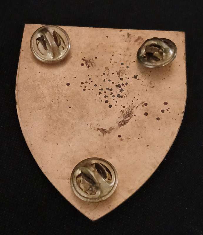 7 SAI BATTALION SHOULDER FLASH              D80
