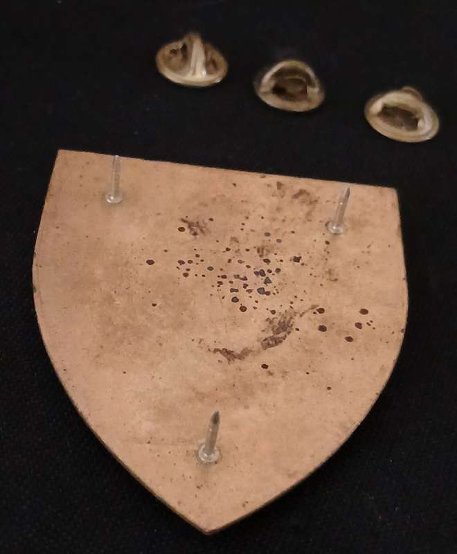 7 SAI BATTALION SHOULDER FLASH              D80