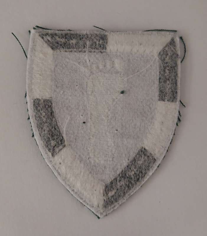 1 SWA SPECIALIST UNIT CLOTH BADGE                   F174