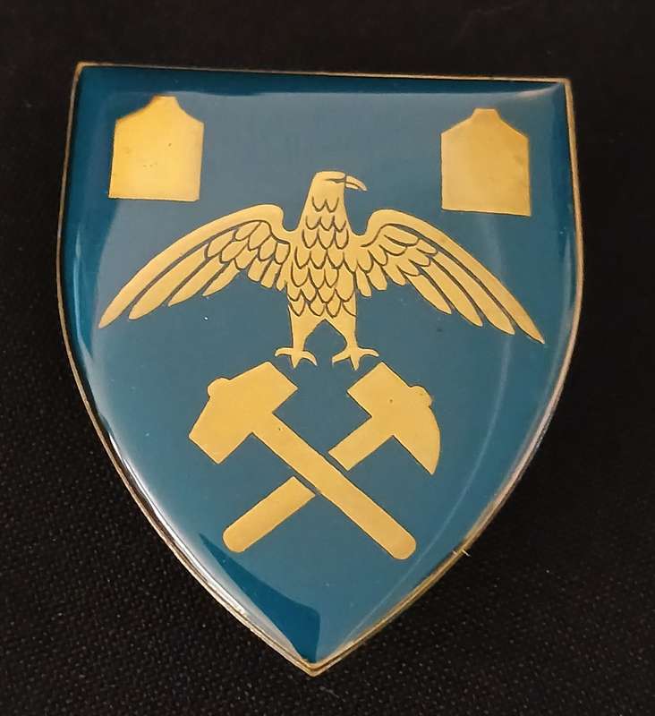 REGIMENT PRESIDENT KRUGER SHOULDER FLASH                 D84