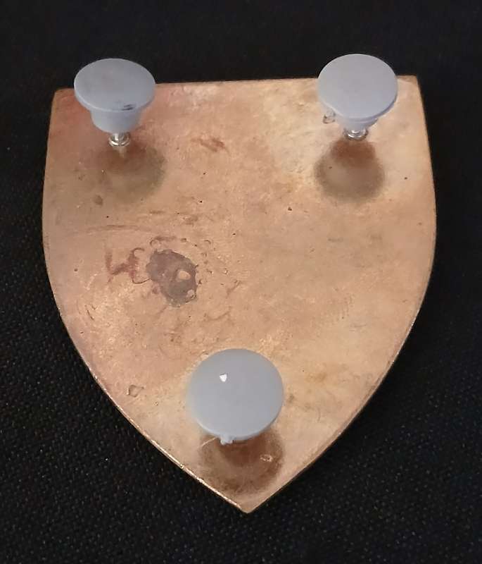 REGIMENT PRESIDENT KRUGER SHOULDER FLASH                 D84
