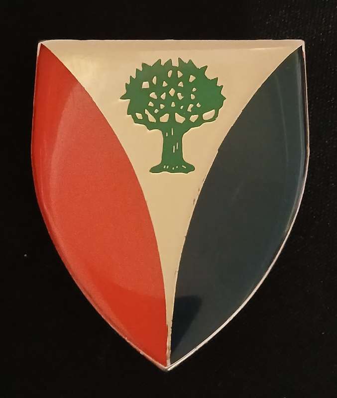 SADF REGIMENT VRYSTAAT  SHOULDER FLASH                        D94