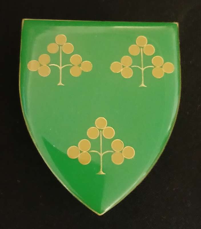 SADF IRENE COMMANDO SHOULDER FLASH                      D97