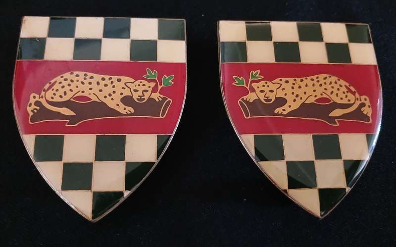 SADF FIRST CITY ( GRAHAMSTAD ) REGIMENT SHOULDER FLASHES                    H32