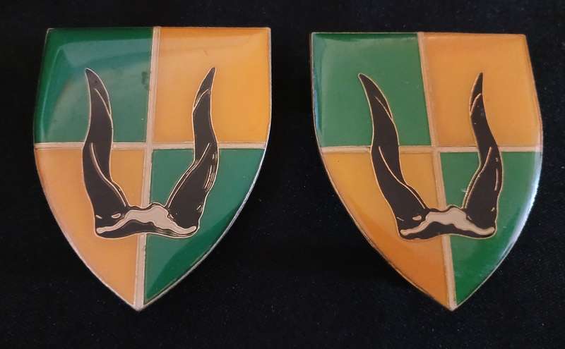 SADF GROUP 29 HQ SHOULDER FLASHES  ( Note 2 Pins Repaired )             H34