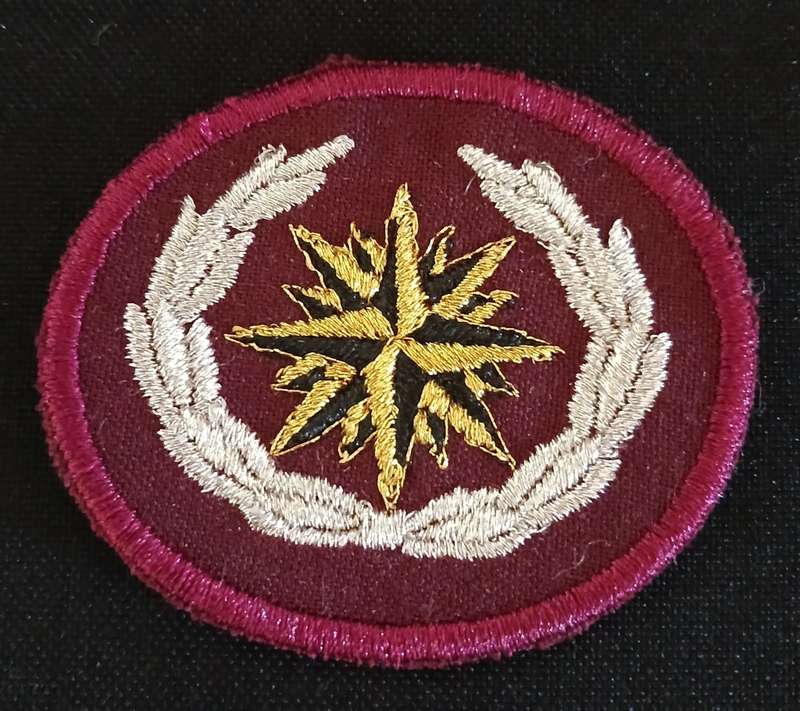 SADF Recce special Forces beret cloth badge       F176