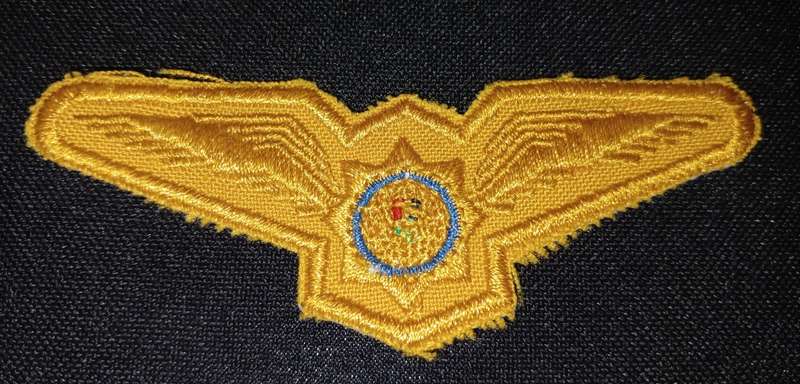 Police Pilot Wing pilot wing from flight suit. Embroidered. Unissued example              F180