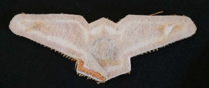 Police Pilot Wing pilot wing from flight suit. Embroidered. Unissued example              F180