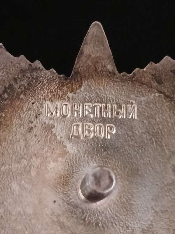 WW2 RUSSIAN ORDER OF THE PATRIOTIC WAR 2ND CLASS SILVER Number 6416110  Size: 46x46mm    F200