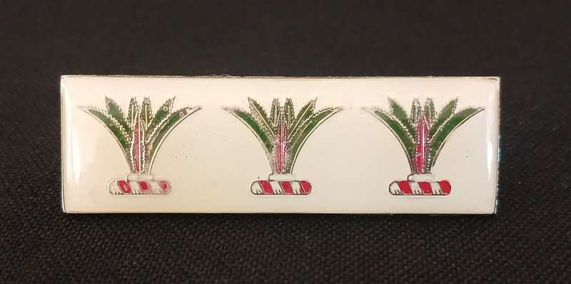 South West Africa Army Sector 10 OSHAKATI  Command Bar (Balkie)              F204