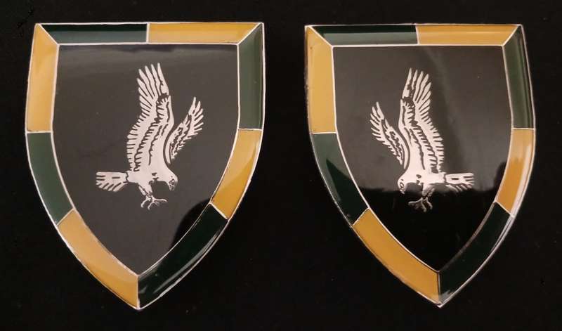 SADF 118 BATTALION SHOULDER FLASHES  `` Very SCARCE `                        H45