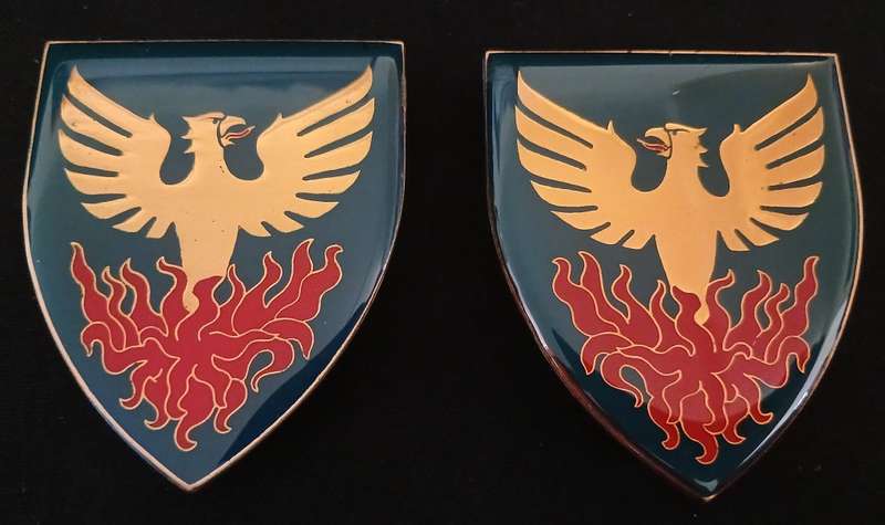 SADF ERMELO COMMANDO SHOULDER FLASHES                     H46