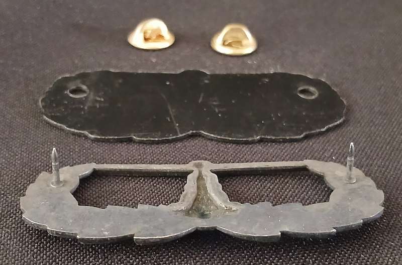 South African Army - 6 SAI Bn - Breast badge - AIR ASSAULT               F213