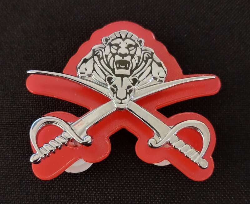 SANDF Qualification PT. Instructors Badge Chrome  With Backing                   F214