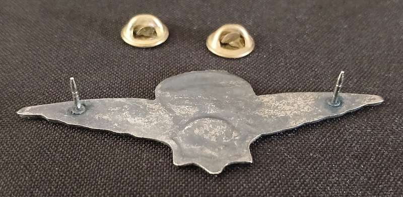 VLAKPLAAS,POLICE,PARA WING         F220