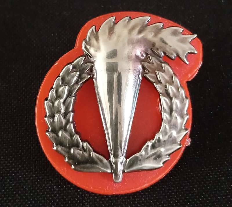 South African Army - Pathfinder proficiency badge Full Size      F222