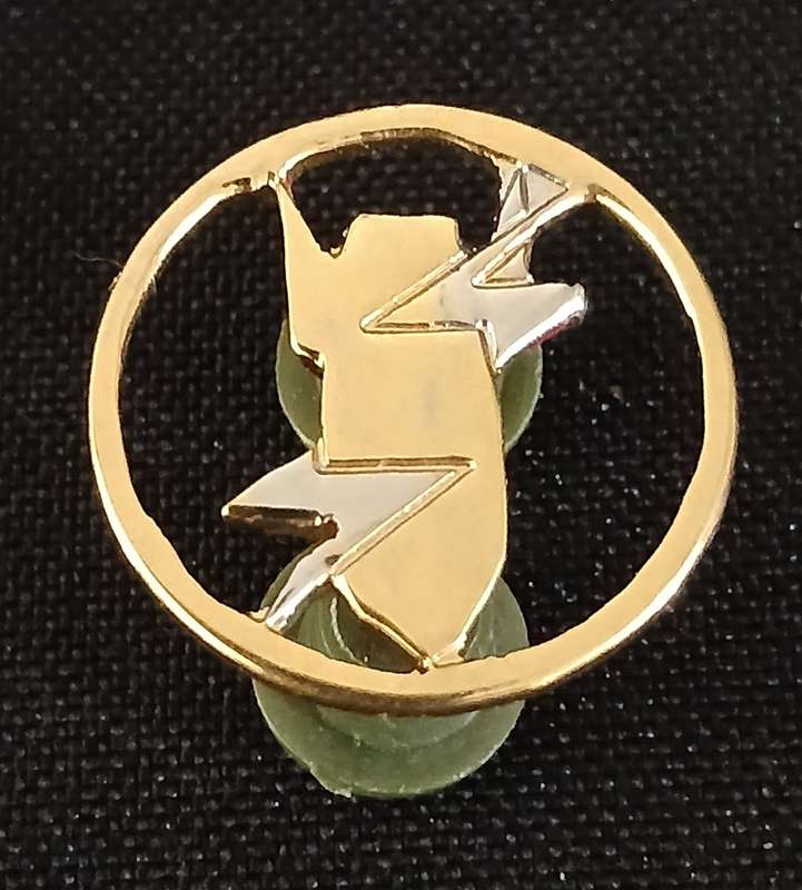 Explosive Ordinance Disposal Mess Dress Badge ( Flat Face ) Size: 22mm Diameter            F225