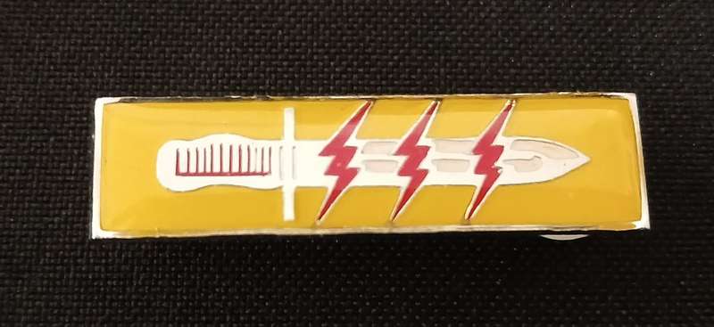 SADF / SANDF 61 Mech Battalion Operation Participation Bar    F228