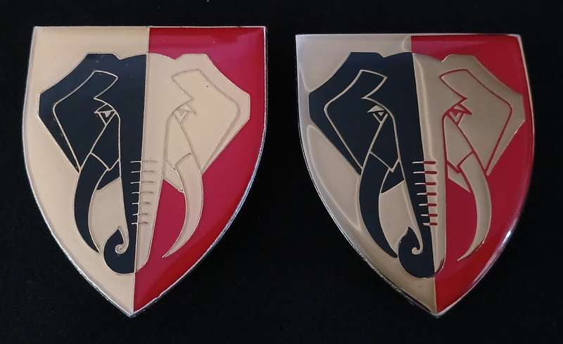 SWA 701 BATTALION SHOULDER FLAHSES  ( Two Types )                        H60