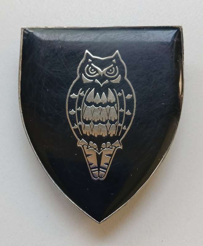 SADF DIRECTOR GENERAL MILITARY INTELLIGENCE SHOULDER FLASH              M8