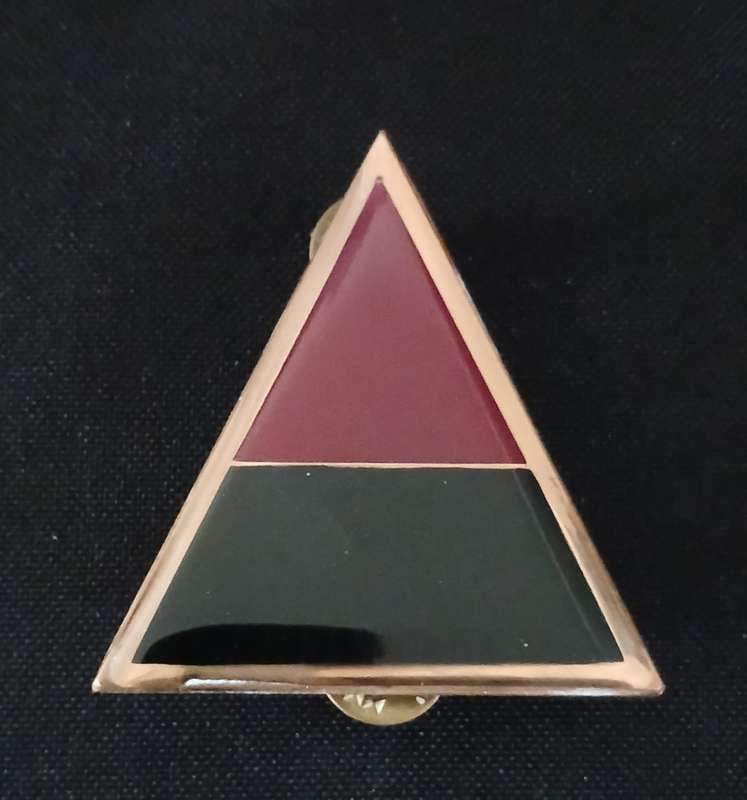 SADF 44 Parachute Brigade ` ALPHA ` Company Arm Flash                       H64