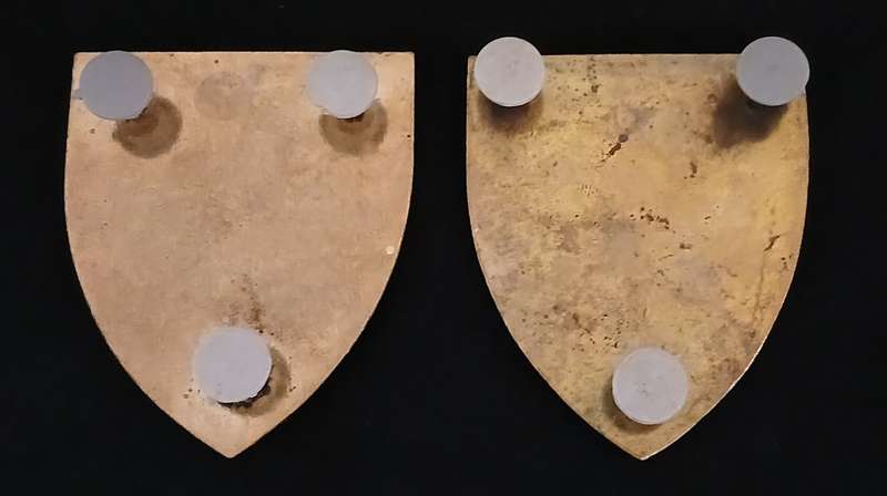 SADF - SA CAPE CORPS SHOULDER FLASHES                                  H75
