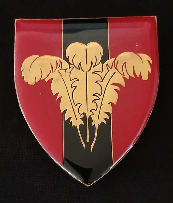 SADF SOUTHERN CAPE COMMAND PROVOST UNIT SHOULDER FLASH                 D107