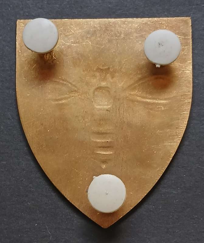 SADF VAAL COMMANDO SHOULDER FLASH        ` RARE `                      D108