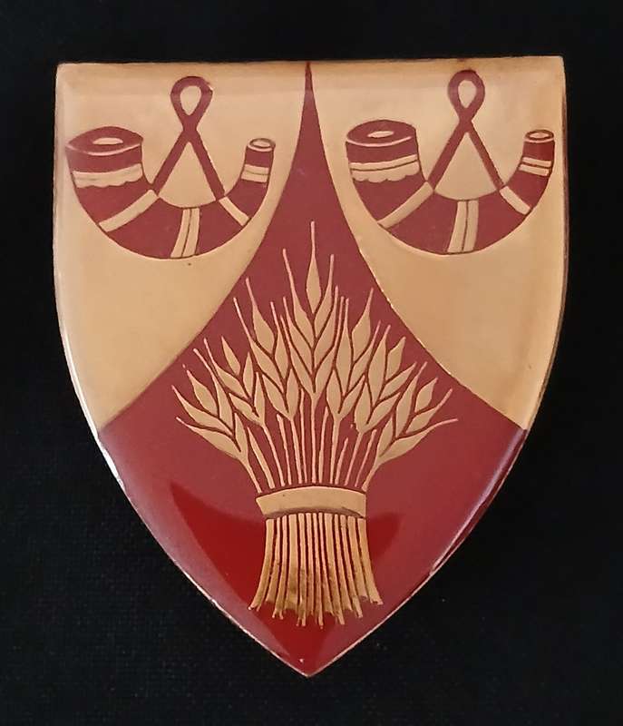 SADF WEPENER COMMANDO SHOULDER FLASH                              D110