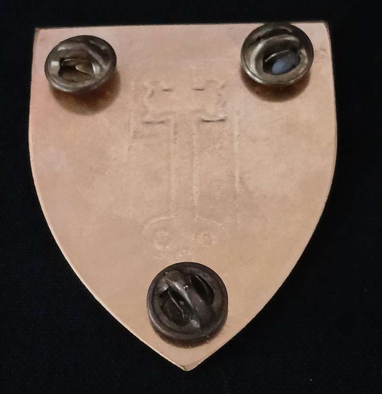 SADF WITWATERSRAND DETENTION BARRACKS PROVOST UNIT SHOULDER FLASH            D113