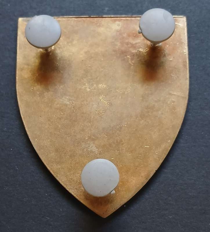 TRANSVAAL STAATS ARTILLERIE SHOULDER FLASH       ` SCARCE `             D117