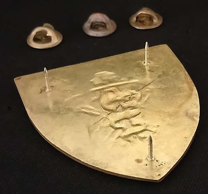 SA ARMY - SADF SAMS FAR NORTH COMMAND MEDICAL UNIT Shoulder Flash With Backing ` RARE ` F236