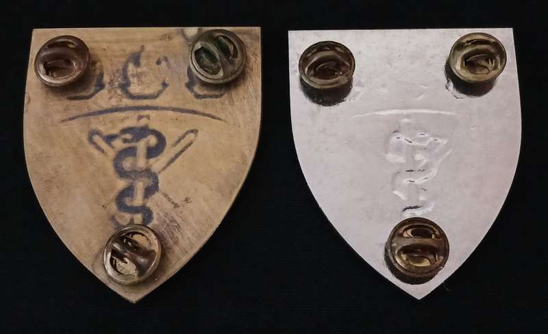 SADF SAMS Medical Training Command Shoulder Flashes  ` SCARCE `                  F238