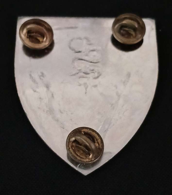 SADF -- SAMS  MEDICAL GROUP SAGD HK - SAMS HQ BATTALION SHOULDER FLASH               F240
