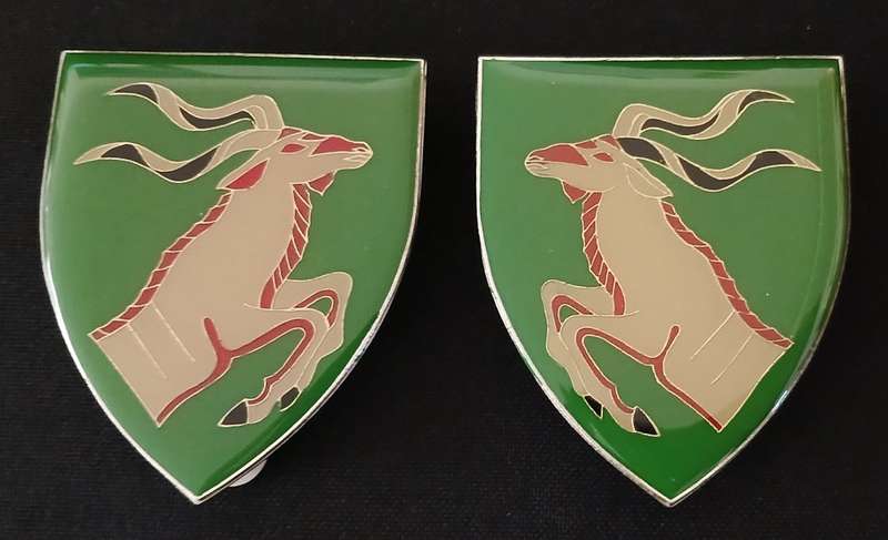 SADF QUEENS TOWN COMMANDO SHOULDER FLASHES                            H79