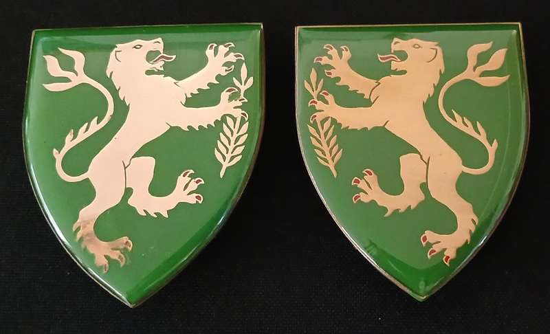SADF REGIMENT HIGHVELD SHOULDER FLASHES       ( One Pin Repaired )      ` RARE `                H88