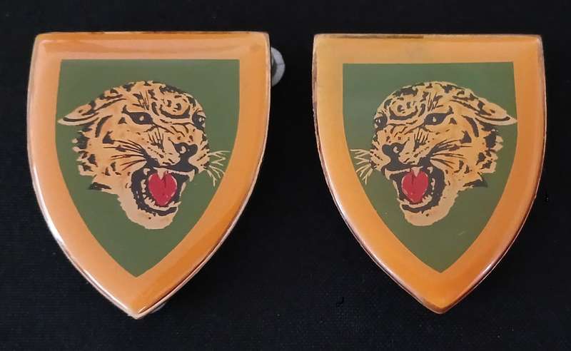 SADF TYGERBERG COMMANDO SHOULDER FLASHES                       H95