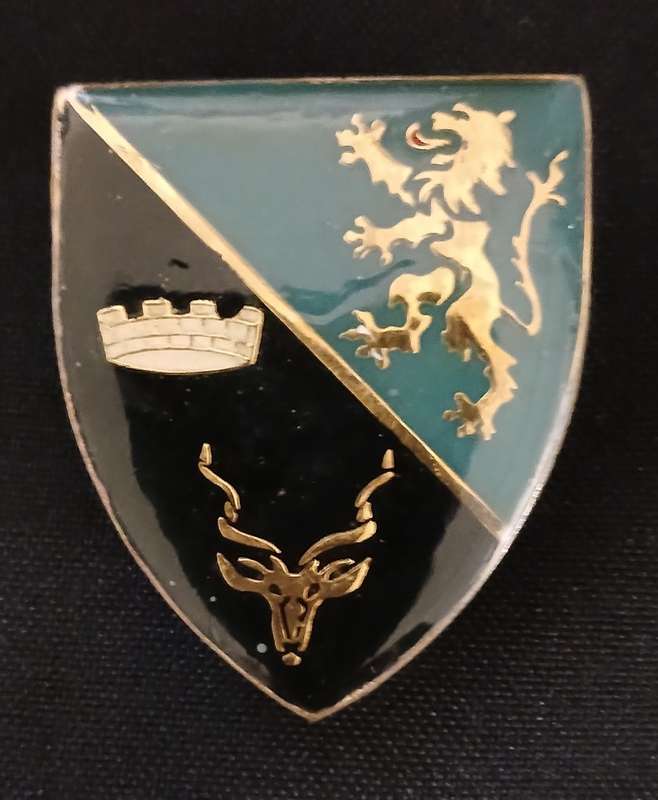 SWA 91 ARMOURED REGIMENT ( REGIMENT WINDHOEK )  POCKET FLASH ` Note Pin Repaired `     PF11