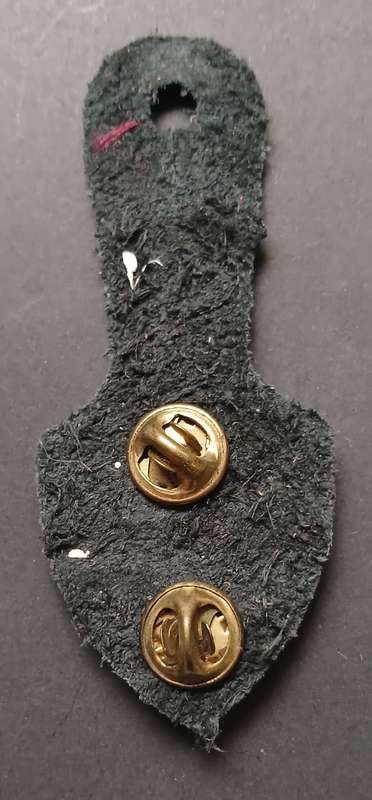 5 Special Forces Regiment affiliation pocket fob badge (5 Recce)                      F248
