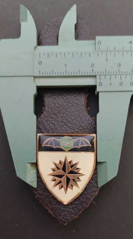 SADF ---- 2 Recce Regiment Fob Badge        ` SCARCE `                   F249