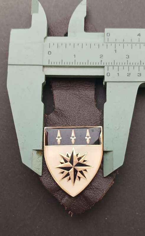 1 Reconnaissance Regiment(1 Recce) affiliation Fob badge                  F251