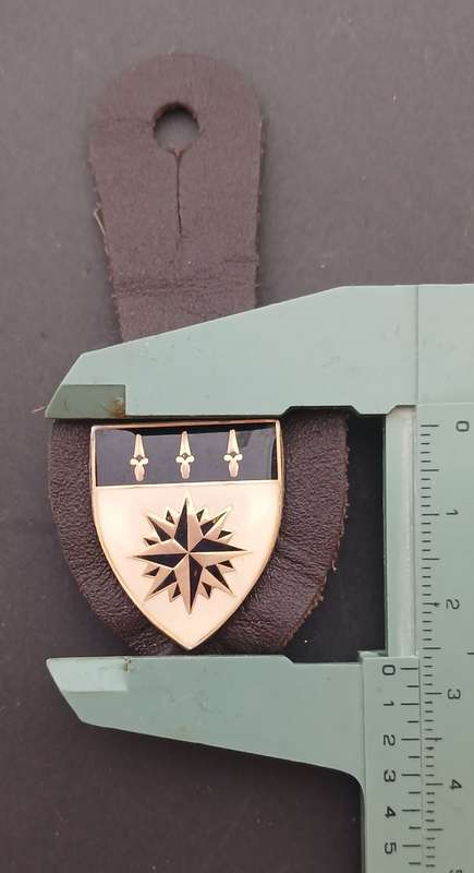 1 Reconnaissance Regiment(1 Recce) affiliation Fob badge                  F251
