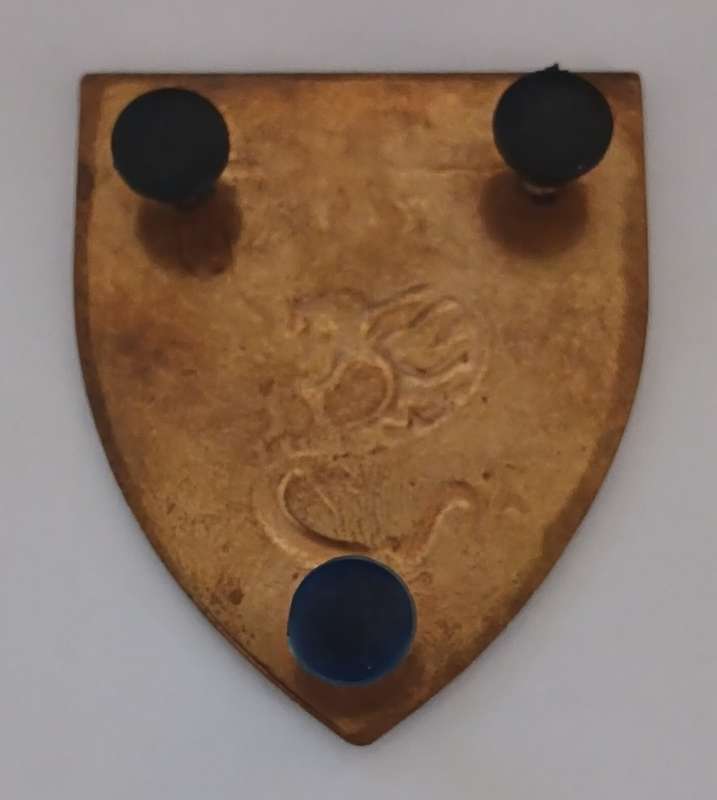 SWA POLICE KOEVOET SIZAVA Z4N KAVANGO  SHOULDER FLASH   ( GOLD )         F255