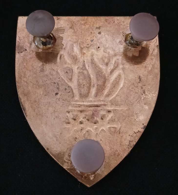 7TH NORTHERN CAPE COMMAND ENGINEER REGIMENT SHOULDER FLASH  ( Three Pins Repaired )             D128